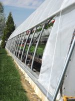 Arched Greenhouse Curtain - Image 2