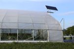 Arched Greenhouse Curtain - Image 3