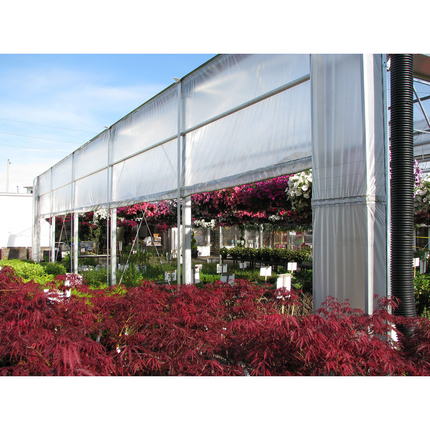 IMG_1906-2-scaled Double Bar Curtain Wall System - Image 1