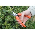 Harvesting Pruners