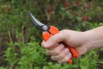 Harvesting Pruners - Image 2