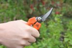 Harvesting Pruners - Image 3