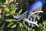 Silver Line Pruners - Image 2