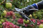 Silver Line Pruners - Image 3