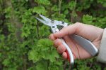 Silver Line Pruners - Image 6
