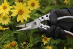 Silver Line Pruners - Image 5