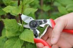 Metallo Red Line Medium Bypass Pruner - Image 6