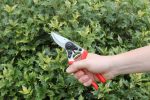 Metallo Red Line Large Ergonomic Bypass Pruner - Image 2