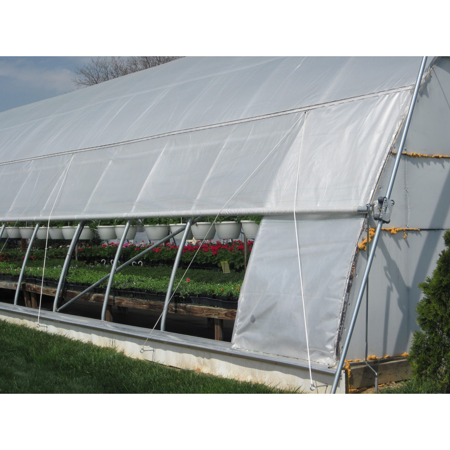 Roll-up-side-scaled Arched Greenhouse Curtain - Image 1