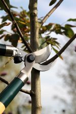 Metallo Loppers - Image 7